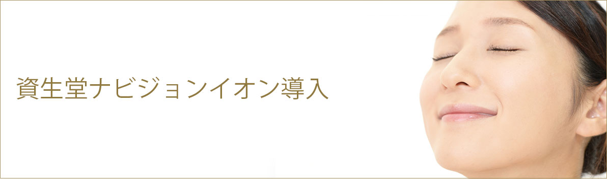 資生堂ナビジョンイオン導入