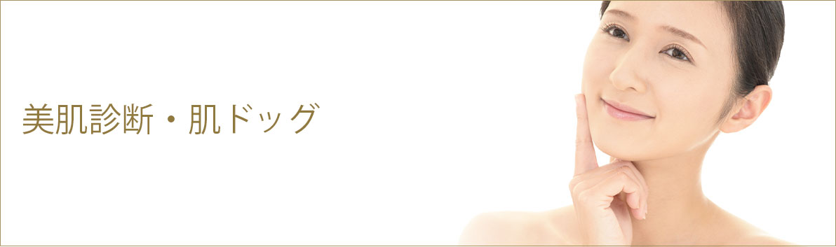 美肌診断　肌ドッグ